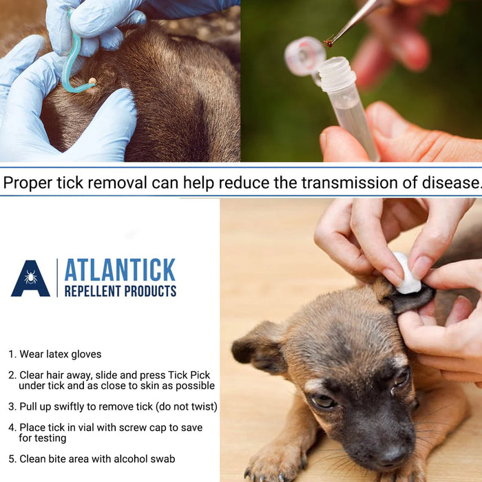 AtlanTick TickPick Tick Removal Tool For Pets and Humans