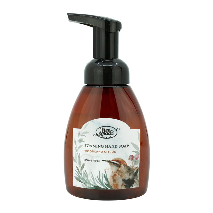 Pure Anada Foaming Hand Soap *Holiday Limited Edition* (4 scents)