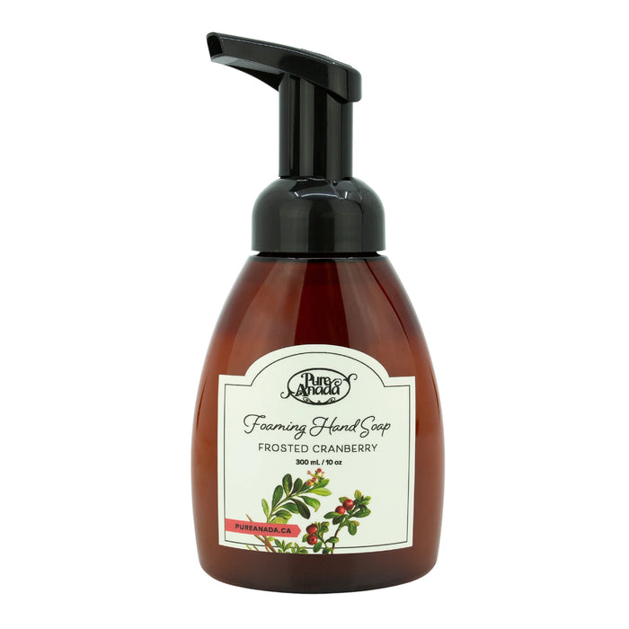 Pure Anada Foaming Hand Soap *Holiday Limited Edition* (4 scents)