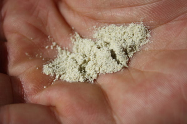 Huna Clarify Foaming Coconut Cleansing Powder