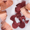 Elate Cosmetics LipColour Pencil - Darling