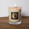 lit luxury sagittarius zodiac crystal infused soy intention candle